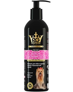 Royal Groom блеск и шелковистость шампунь для собак породы йоркширский терьер Apicenna 200 мл Apicenna (api-san)