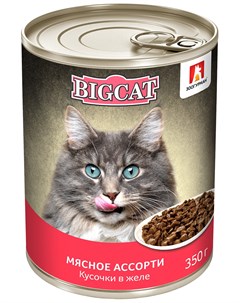 Big Cat для взрослых кошек с мясным ассорти в желе 350 гр х 12 шт Зоогурман
