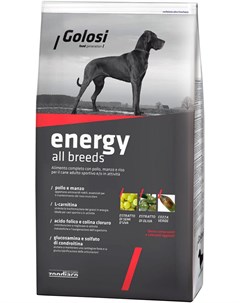 Energy All Breeds для активных взрослых собак всех пород с курицей говядиной и рисом 20 кг Golosi