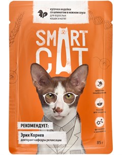 Для кошек и котят с кусочками индейки и шпинатом в соусе 85 гр х 25 шт Smart cat