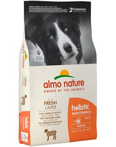 Adult Dog Medium Lamb для взрослых собак средних пород с ягненком 12 кг Almo nature