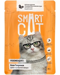 Для кошек и котят с кусочками курицы и шпинатом в соусе 85 гр х 25 шт Smart cat