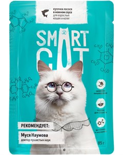 Для кошек и котят с кусочками лосося в соусе 85 гр х 25 шт Smart cat
