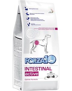 Dog Intestinal Active для взрослых собак всех пород при заболеваниях желудочно кишечного тракта 10 к Forza10