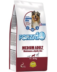 Dog Maintenance Adult Medium для взрослых собак средних пород с ягненком и рисом 12 5 кг Forza10
