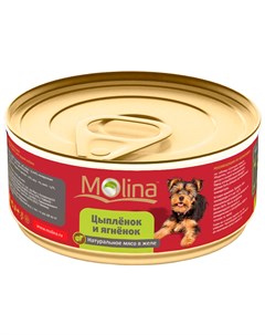 Для взрослых собак с цыпленком и ягненком в желе 85 гр Molina