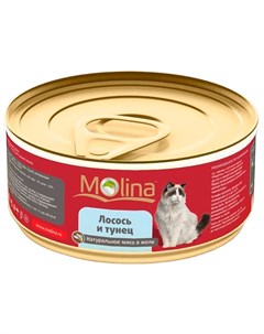 Для взрослых кошек с лососем и тунцом в желе 80 гр х 12 шт Molina