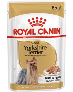 Yorkshire Terrier Adult для взрослых собак йоркширский терьер паштет 85 гр Royal canin