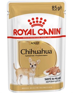 Chihuahua Adult для взрослых собак чихуахуа паштет 85 гр Royal canin