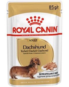 Dachshund Adult для взрослых собак такса паштет 85 гр Royal canin