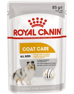 Coat Care для взрослых собак всех пород с чувствительной кожей и шерстью паштет 85 гр Royal canin