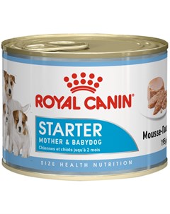 Starter Mousse для щенков до 2 месяцев беременных и кормящих сук 195 гр Royal canin