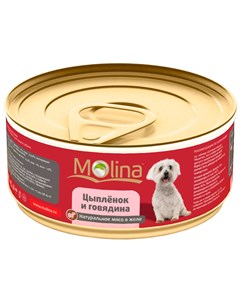 Для взрослых собак с цыпленком и говядиной в желе 85 гр х 12 шт Molina