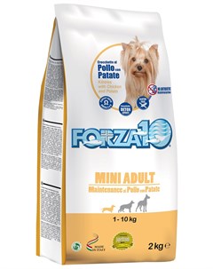 Dog Maintenance Adult Mini для взрослых собак маленьких пород с курицей и картофелем 2 кг Forza10