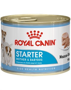 Starter Mousse для щенков до 2 месяцев беременных и кормящих сук 195 гр х 12 шт Royal canin