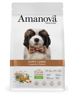 Сухой корм для щенков Puppy Large с изысканной курочкой для крупных пород 12 кг Amanova