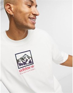 Свободная футболка с принтом adiplore Adidas originals