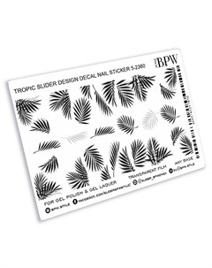 Слайдер дизайн Пальмовые листья в графике 5 2380 Bpw.style