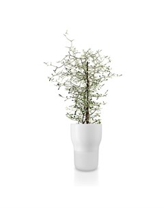 Горшок для растений с функцией самополива 13 см белый Eva solo