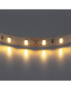 LED лента Lenta Lightstar