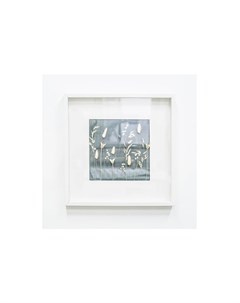 Панно с нигеллой и лагурусом серый 52x52 см Wowbotanica