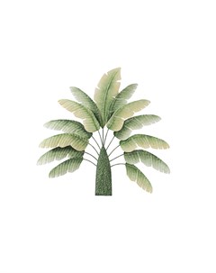 Панно настенное листья банана зеленый 5 0x81 3x82 0 см Гласар