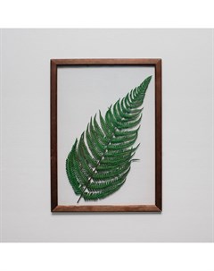 Картина с листом папоротника зеленый 23x32 см Wowbotanica