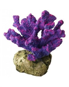 Декоративный пальчиковый коралл лиловый Europet bernina