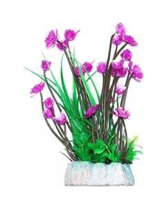 Растение аквариумное Гемиантус с лиловыми цветами 24 см Уют