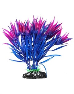 Растение аквариумное Гетерантера сине фиолетовая Уют