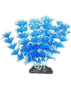 Растение аквариумное Амбулия голубая Уют