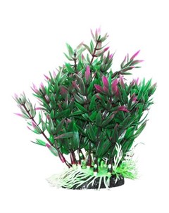 Растение аквариумное Гетерантера зелено филетовая Уют