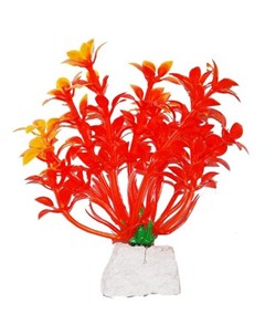 Растение аквариумное Гемиантус оранжевый Уют