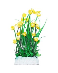 Растение аквариумное Гемиантус с желтыми цветами 24 см Уют