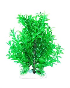 Растение аквариумное Людвигия зеленая 20 см Уют