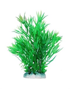 Растение аквариумное Гемиантус зеленый 20 см Уют