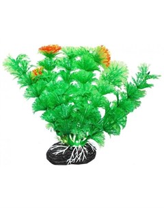 Растение аквариумное Амбулия зеленая с оранжевым Уют