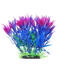 Растение аквариумное Гетерантера сине фиолетовая Уют