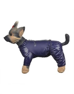 Дублин 2 Зимний костюм для собак девочка синий Dogmoda