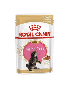 Kitten Maine Coon влажный корм для котят породы Мейн Кун в соусе 85 гр Royal canin