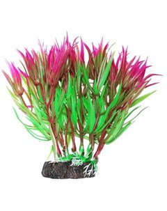 Растение аквариумное Гетерантера зелено фиолетовая Уют