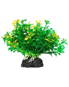 Растение аквариумное Микрантемум зелено желтый Уют