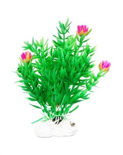 Растение аквариумное Гемиантус с розовыми цветами Уют