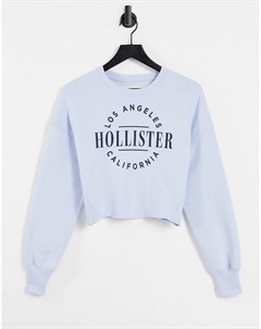 Синий свитер с круглым логотипом Hollister