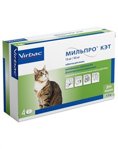Мильпро кэт антигельминтик для кошек весом более 2 кг упаковка уп 4 таблетки 1 уп Virbac