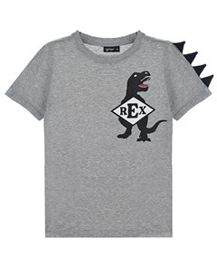 Серая футболка с принтом динозавр детская Yporqué