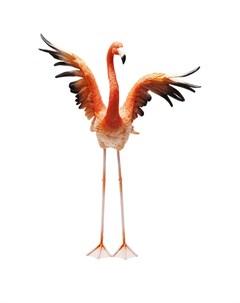 Статуэтка Flamingo 50х66х28 Kare