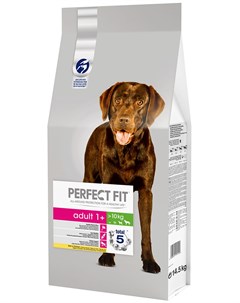 Сухой корм для собак для средних и крупных пород 14 5 кг Perfect fit