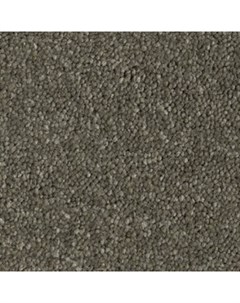 Покрытие ковровое AW Vibes 29 5 м 100 SDN Associated weavers