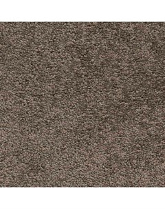 Покрытие ковровое Vigour 44 5 м 100 SDN Associated weavers